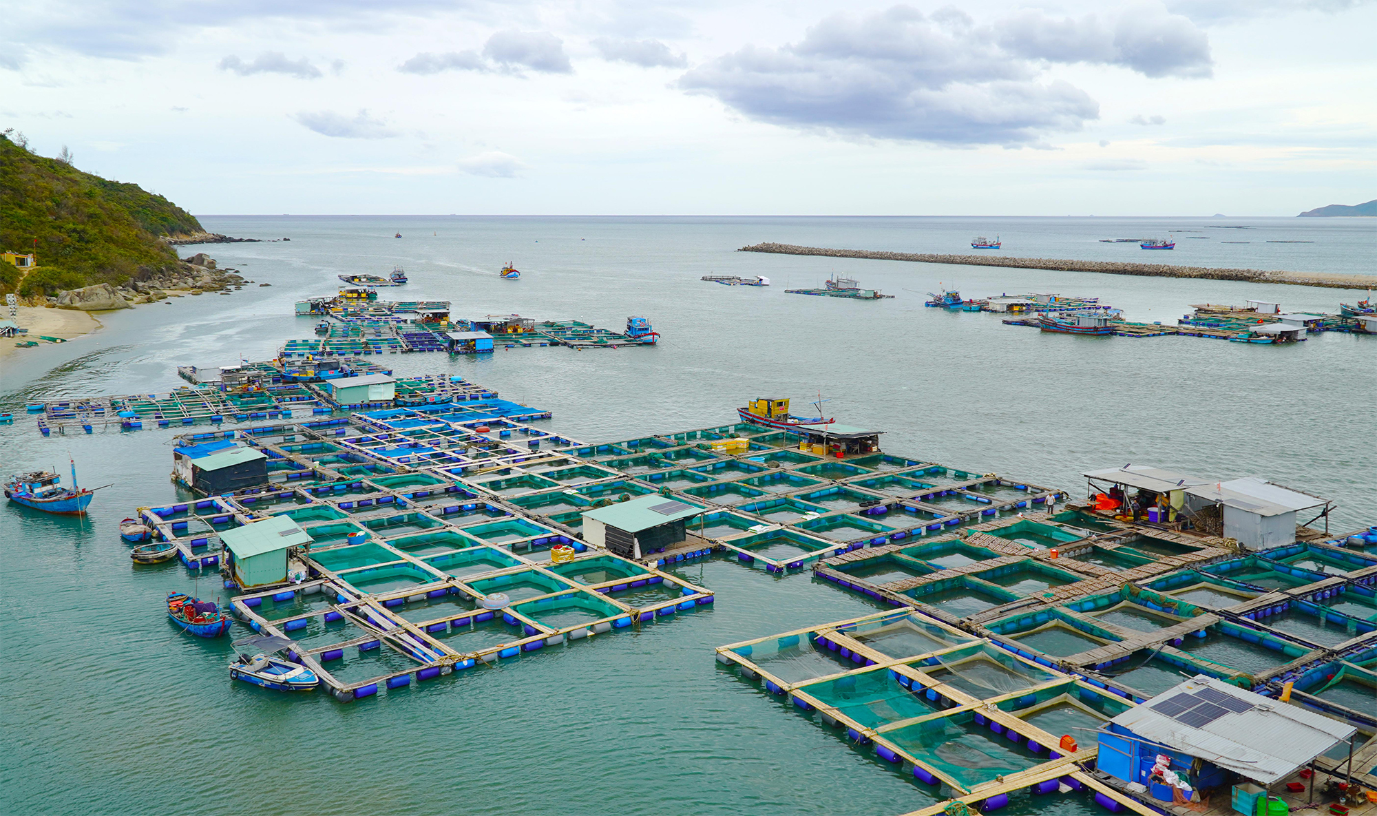 Nghề nu&ocirc;i trồng thủy hải sản c&aacute;c tỉnh miền Trung vẫn c&ograve;n tự ph&aacute;t, manh m&uacute;n, chưa thể lớn mạnh, hiện đại. Trong ảnh một v&ugrave;ng nu&ocirc;i thủy sản tự ph&aacute;t b&oacute;p nghẹt cửa biển Đề Gi, tỉnh Gia Lai.