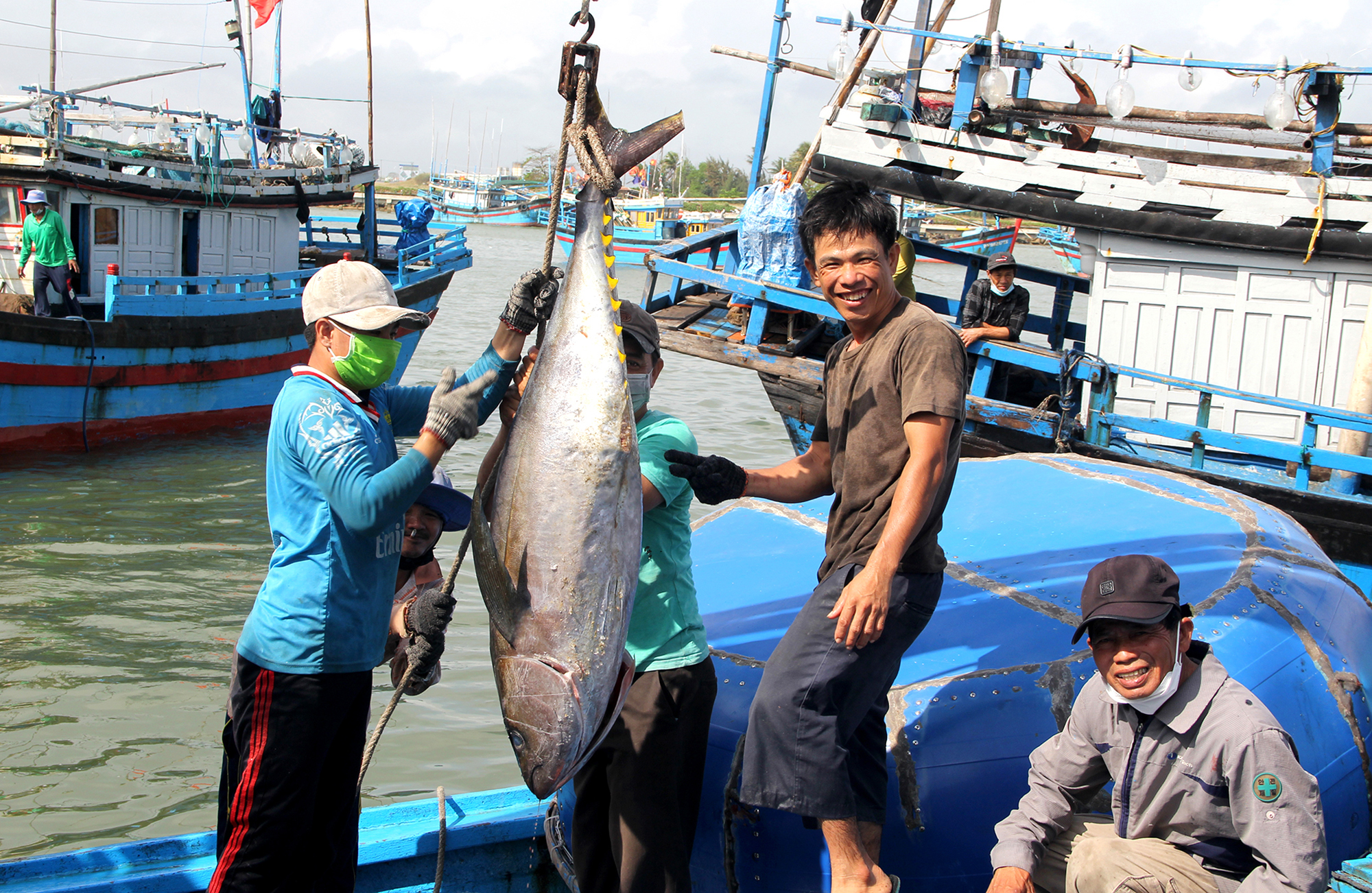 Nhiều chuyến t&agrave;u vươn khơi mang về lượng c&aacute; ngừ đại dương kh&aacute; cao, nhưng gi&aacute; c&aacute; lại chưa được như mong đợi.